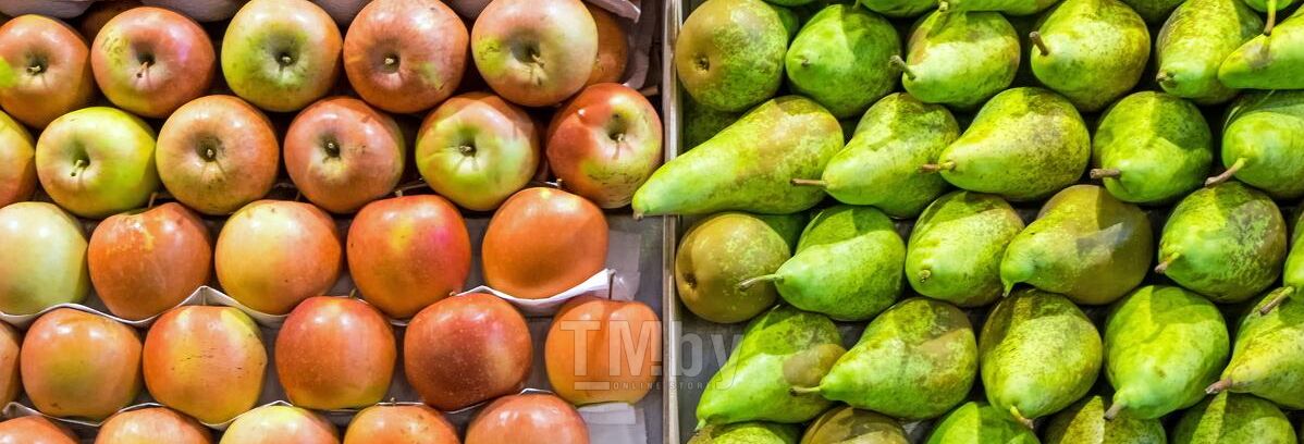 Хранение яблок и груш